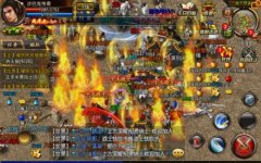 �̳ǵ��е�ҩ���Ϊ�Ǻ�������